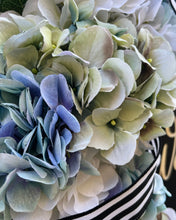 Load image into Gallery viewer, Blue Hydrangeas Welcome Grapevine Wreath