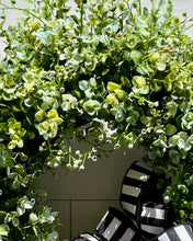 Load image into Gallery viewer, Plush Boxwood Wreath
